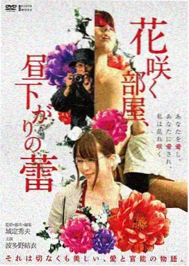 悠然影院天井光影棚自然采光测试